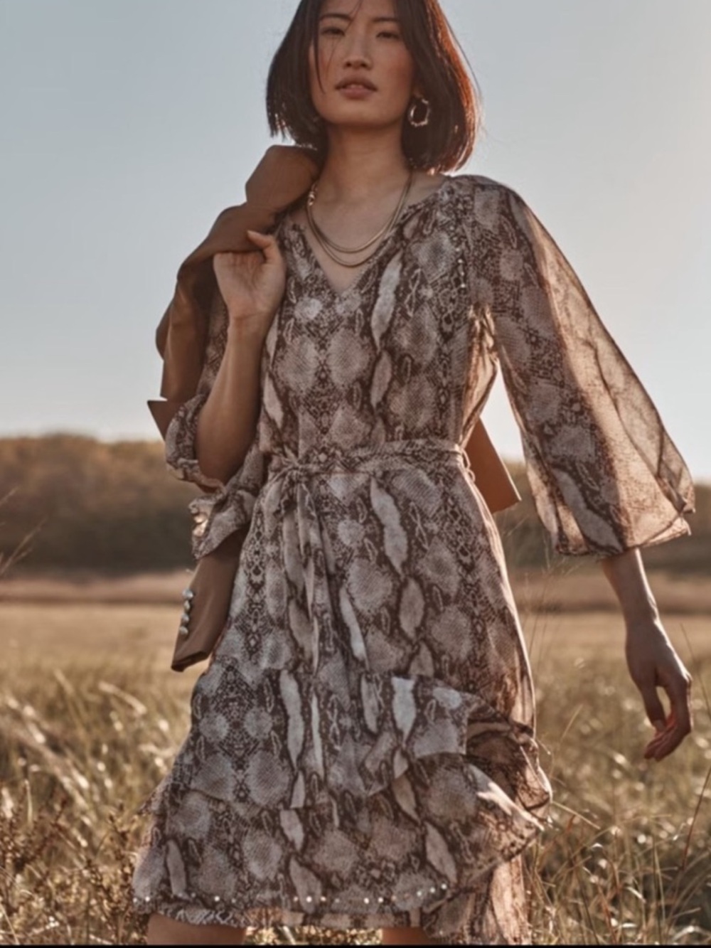 NWT WHBM Studded Python Ruffle Dress - Picture 2 of 12